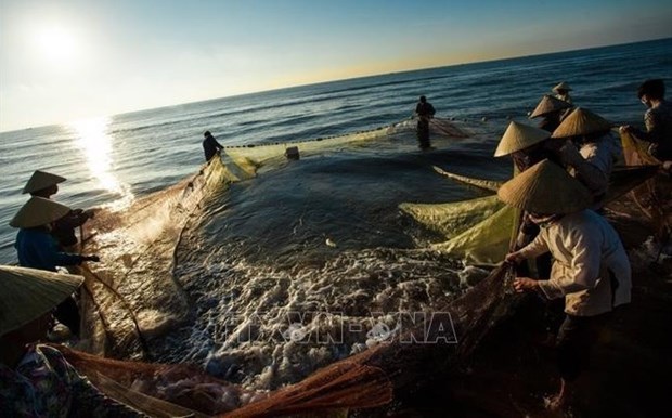 Por el desarrollo sostenible de la industria pesquera de Vietnam hinh anh 1