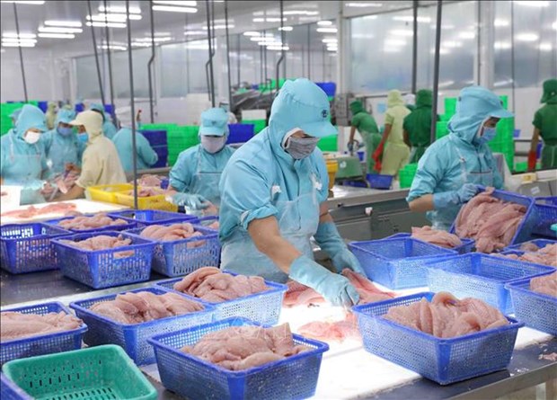 Por el desarrollo sostenible de la industria pesquera de Vietnam hinh anh 2