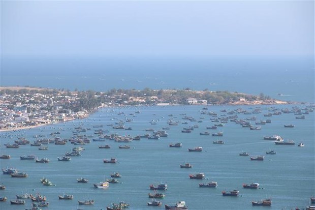 Ano de Visita a Vietnam 2023 se centrara en turismo verde hinh anh 1