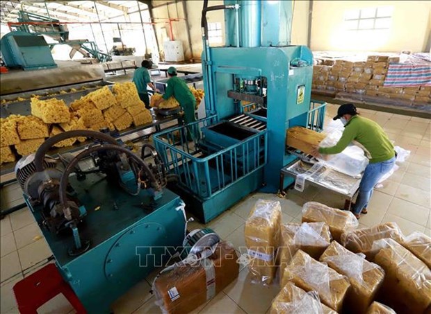 Preven dificultades para exportacion de caucho de Vietnam en ultimo trimestre del ano hinh anh 2