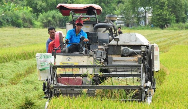 Alemania ayuda a aumentar competitividad de cadenas de valor agricolas en Delta del Mekong hinh anh 1