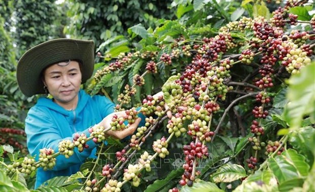 Productos vietnamitas podran alcanzar metas de exportacion para fines de 2022 hinh anh 1