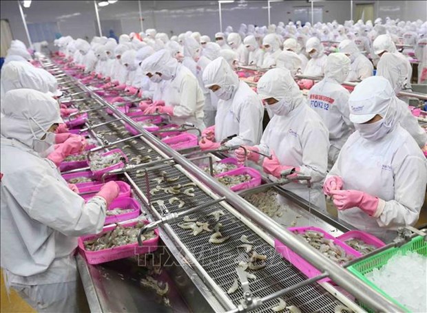 Productos vietnamitas podran alcanzar metas de exportacion para fines de 2022 hinh anh 2