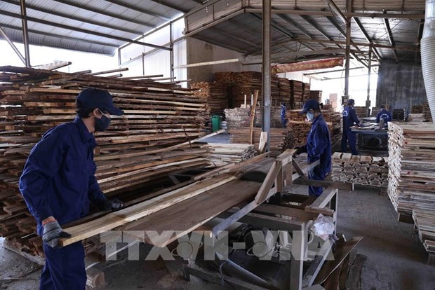 Vietnam se esfuerza por eliminar dificultades para produccion de fin de ano hinh anh 2