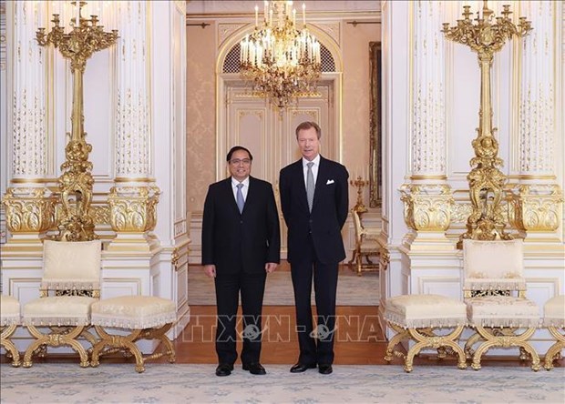 Vietnam concede importancia al fomento de cooperacion con Luxemburgo hinh anh 1