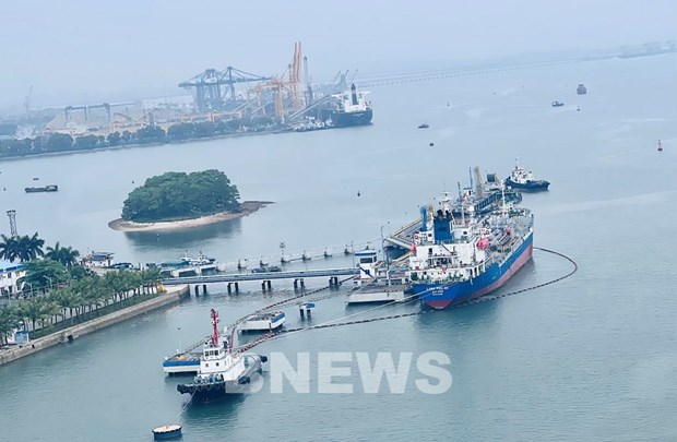 Vietnam agiliza desarrollo de flota naviera nacional hinh anh 2