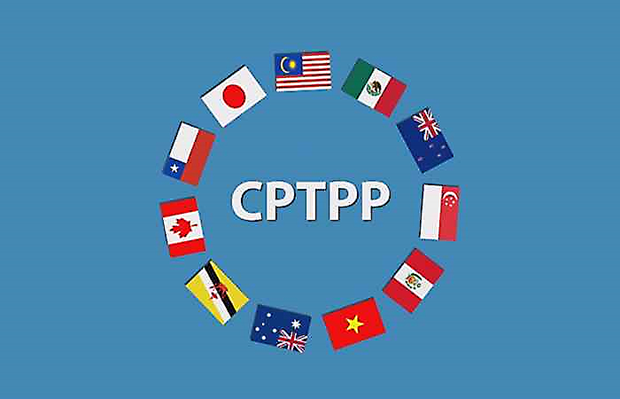 CPTPP aun tiene potencial sin explotar para empresas vietnamitas hinh anh 1