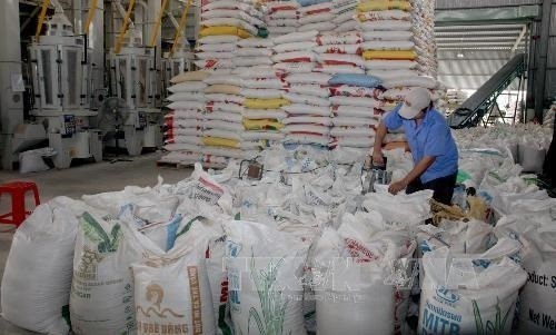 Buenas senales para exportacion de arroz de Vietnam en 2023 hinh anh 2