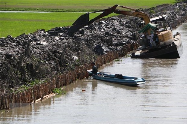 Areas urbanas del Delta del Mekong de Vietnam buscan adaptarse al cambio climatico hinh anh 2
