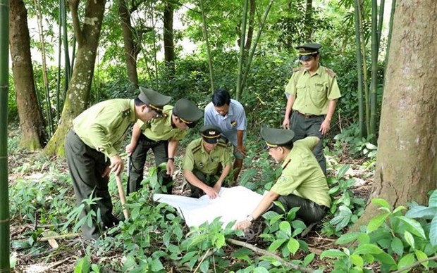 📝 Enfoque: Vietnam promueve proteccion de vida silvestre hinh anh 2