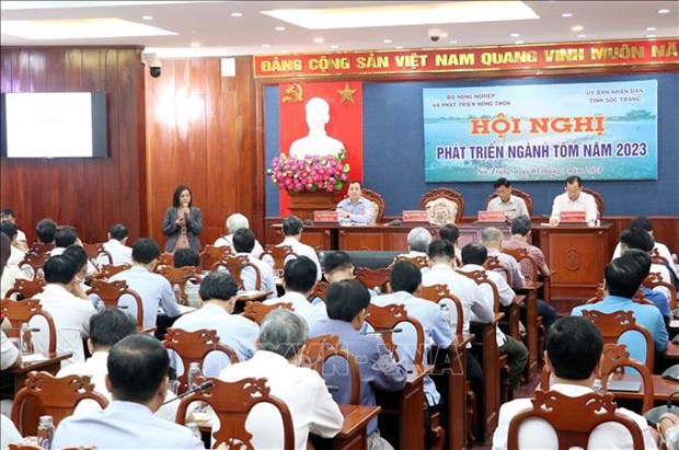 Exportaciones de camarones de Vietnam podrian alcanzar 4,3 mil millones de dolares en 2023 hinh anh 2