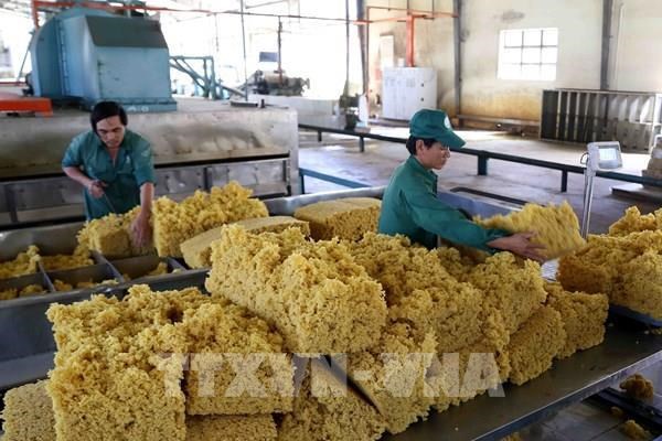 Elevan competitividad de caucho vietnamita en mercado internacional hinh anh 2