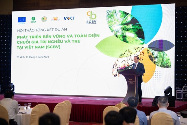 Desarrollan cadena de valor sostenible de almeja y bambu en Vietnam hinh anh 2