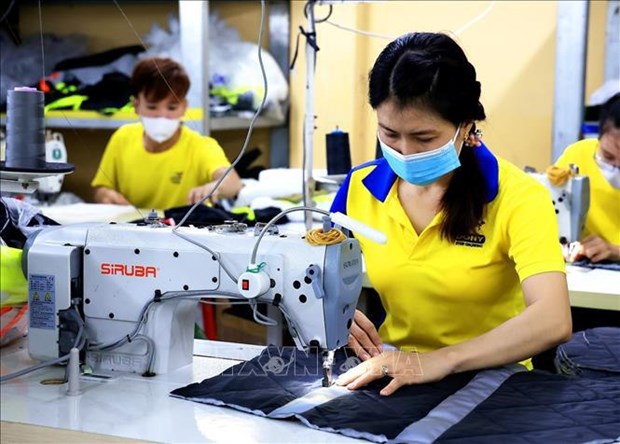 Impulsan transformacion digital en sector textil de Vietnam hinh anh 1