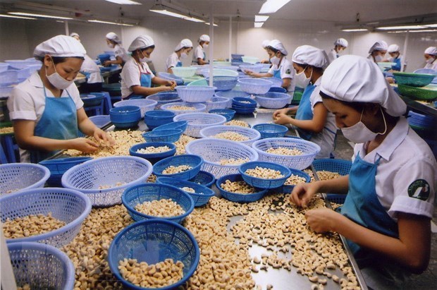 Fomentan sostenibilidad en industria de procesamiento de alimentos de Vietnam hinh anh 1