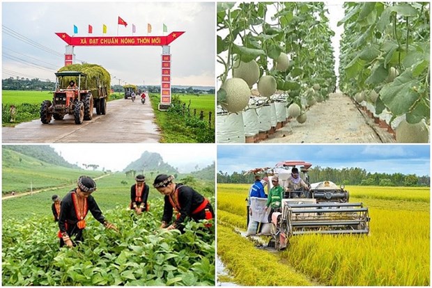 📝Enfoque: Agiliza Vietnam implementacion de objetivos de desarrollo sostenible hinh anh 2