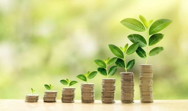 Vietnam necesita institucion financiera especializada para recibir inversiones verdes hinh anh 1