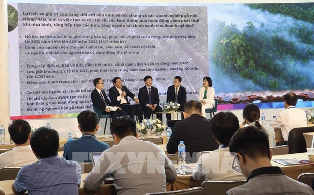 Aumentan ingresos de industria maderera de Vietnam a partir de creditos de carbono hinh anh 1