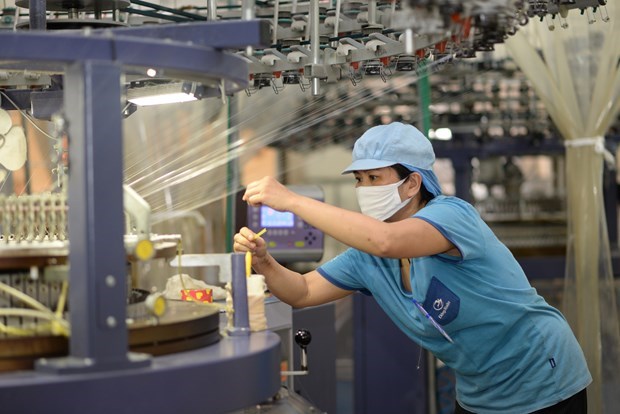 Empresas en Vietnam fortalecen exportaciones en periodo postCOVID-19 hinh anh 2