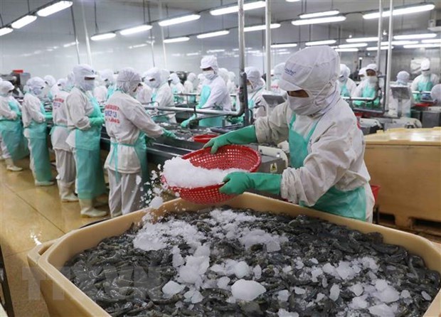 Acuerdo RCEP crea efectos positivos para exportaciones de mariscos de Vietnam hinh anh 1