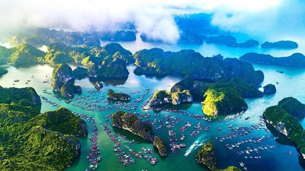 Vietnam aboga por desarrollar una economia maritima verde hinh anh 1