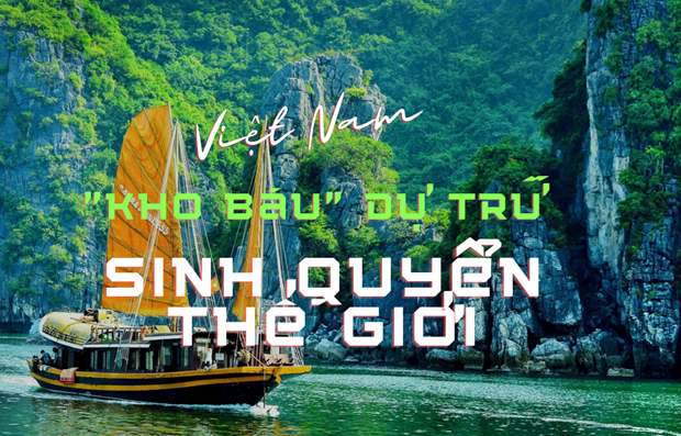 Vietnam cuenta con 11 “laboratorios naturales” para el desarrollo sostenible hinh anh 1