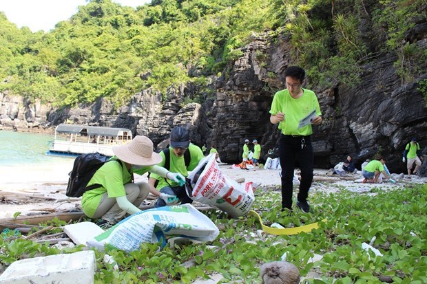 Combatir la contaminacion plastica, un llamado con acciones de respuesta en Vietnam hinh anh 1