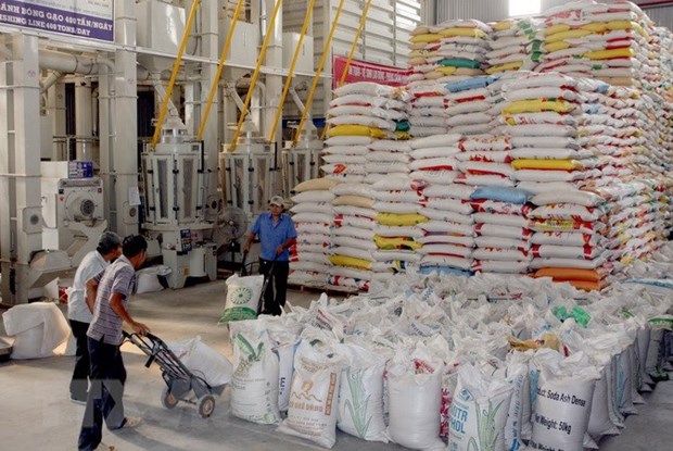 Exportaciones de arroz vietnamita a Filipinas superan mil millones de dolares hinh anh 1