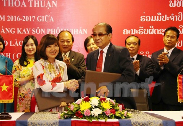 Museos vietnamita y laosiano fortalecen cooperacion hinh anh 1