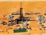En produccion oficial proyecto petrolero Vietnam-Argelia hinh anh 1