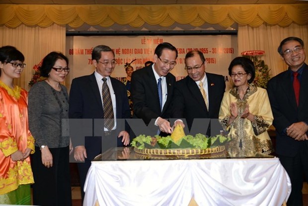 Realzan desarrollo de nexos diplomaticos Vietnam- Indonesia hinh anh 1