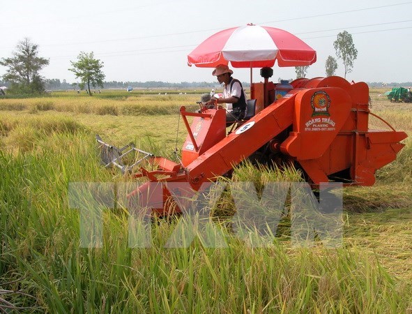 Vietnam se esfuerza por cumplir meta de crecimiento de exportacion hinh anh 1