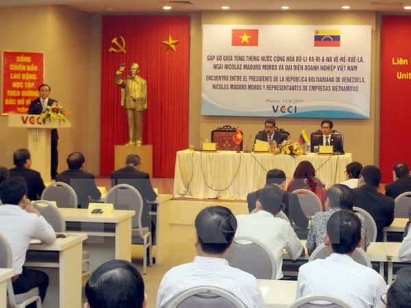 Vietnam y Venezuela miran hacia alianza energetica hinh anh 1