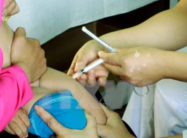 Vietnam: Sin caso mortal por vacuna neonatal contra hepatitis B hinh anh 1
