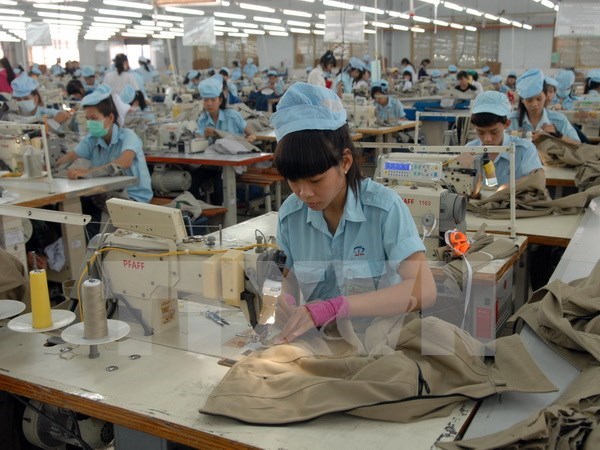 Textil vietnamita busca elevar uso de materias primas nacionales hinh anh 1