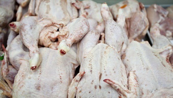 Vietnam finaliza investigacion sobre pollos importados de EE.UU. hinh anh 1