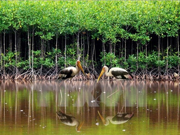 Vietnam se une a esfuerzos internacionales en conservar biodiversidad hinh anh 1