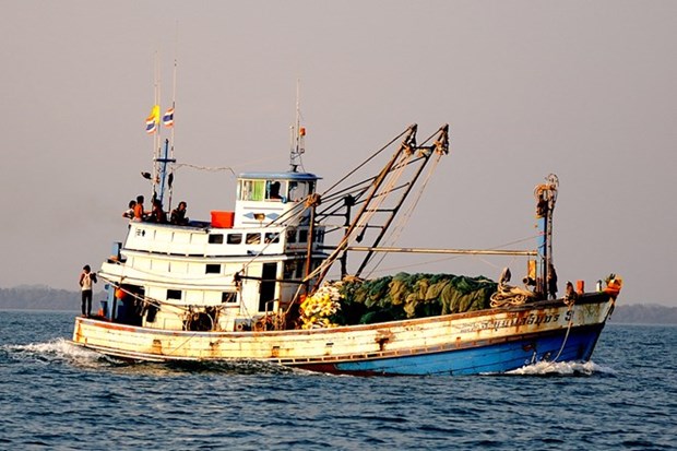 Detienen barcos tailandeses que pescan ilegalmente en mar vietnamita hinh anh 1