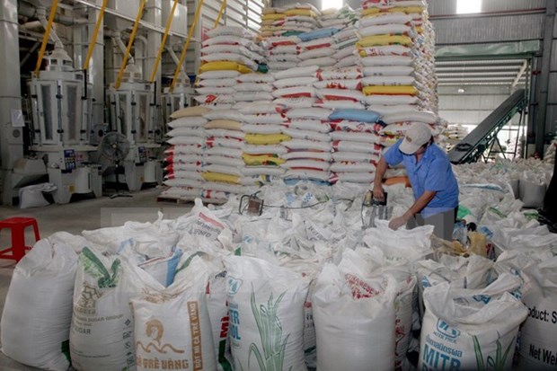 Aumenta Vietnam precio de exportacion de arroz hinh anh 1