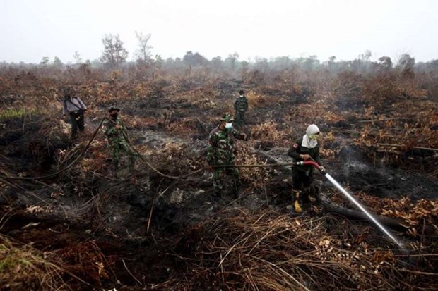 Indonesia moviliza 25 aviones para apagar incendios hinh anh 1