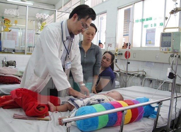 Refuerza Vietnam lucha contra dengue hinh anh 1
