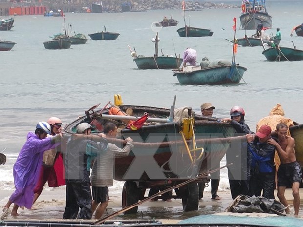 Danos por desastres podran lastrar cinco por ciento del PIB de Vietnam hinh anh 1