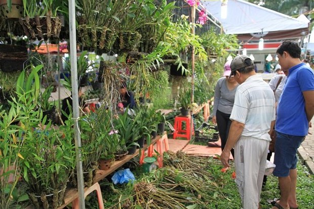 Festival de Agricultura presenta destacados productos sectoriales hinh anh 5