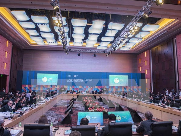 Vietnam llama a estrechar conexion entre las economias de APEC hinh anh 1