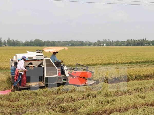 Venezuela oficializa acuerdos agricolas con Vietnam hinh anh 1