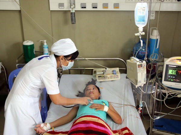 El Nino aumenta riesgos de epidemias en Vietnam hinh anh 1