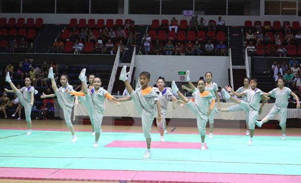 Vietnam acoge Campeonato Asiatico de Aerobic 2015 hinh anh 1
