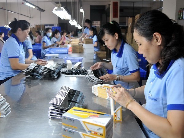 Vietnam garantiza derechos de trabajadoras vietnamitas hinh anh 1
