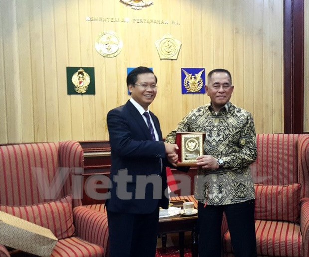 Cooperacion de defensa, pilar clave de asociacion estrategica Vietnam - Indonesia hinh anh 1