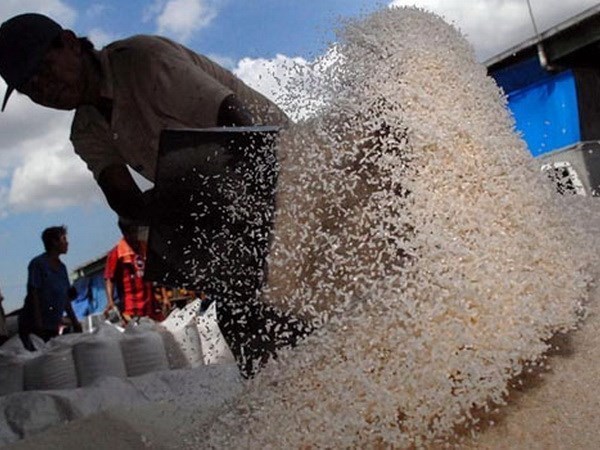 Indonesia importara un millon de toneladas de arroz de Pakistan hinh anh 1